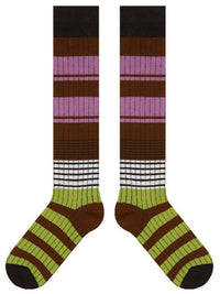 Brown Purple