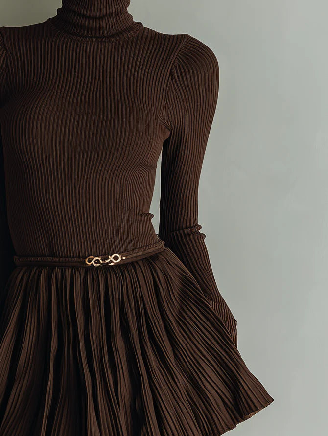 Stylish and elegant brown textured bodycon mini dress